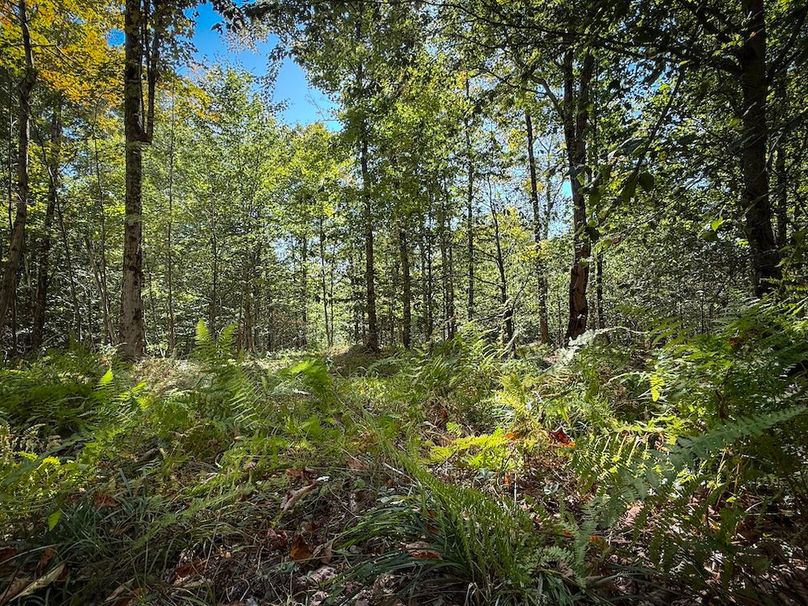 Oswego NY 18.18 Martin Photos 27