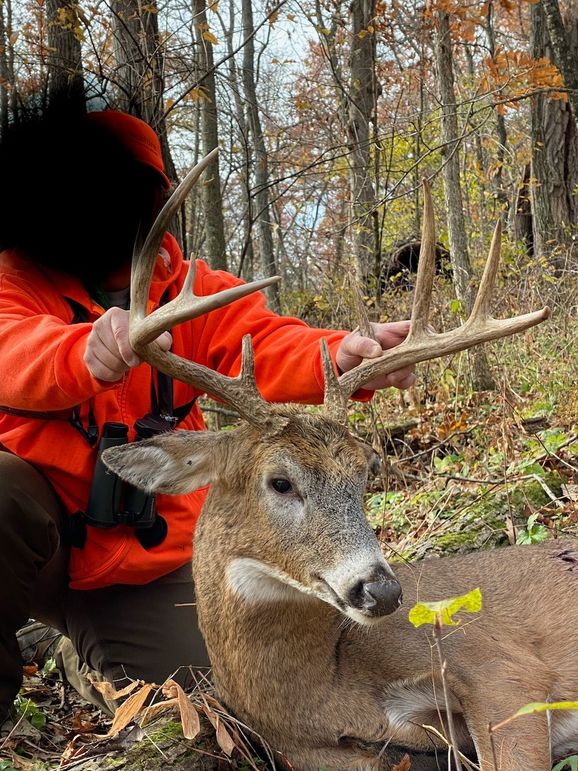 54.03 Houston Deer-2