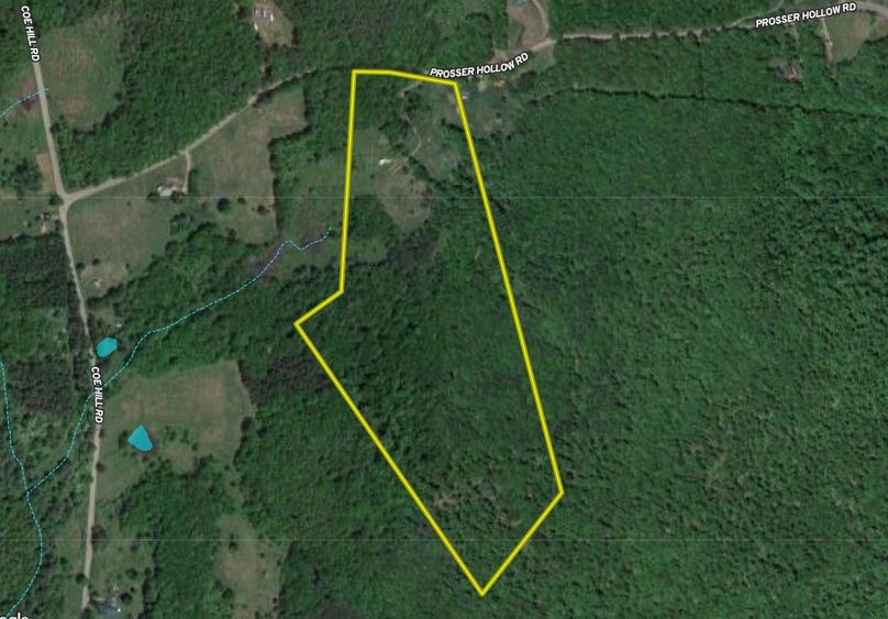 Delaware 30.9 Borchers Google