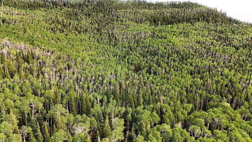 DJI_20250726183819_0215_D