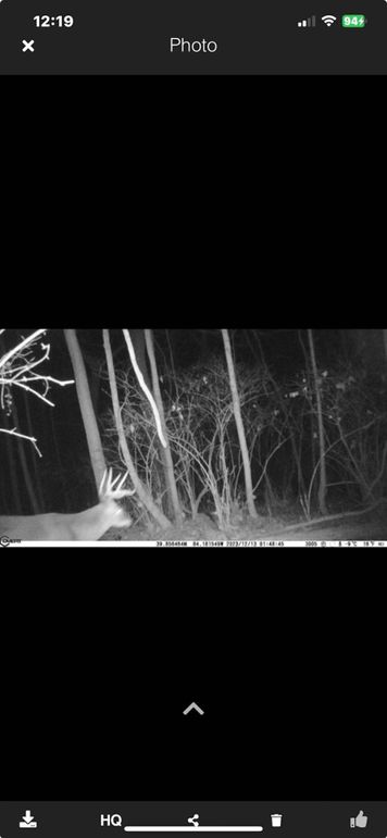 Screenshot_2023-12-23_at_12.19.49â¯PM