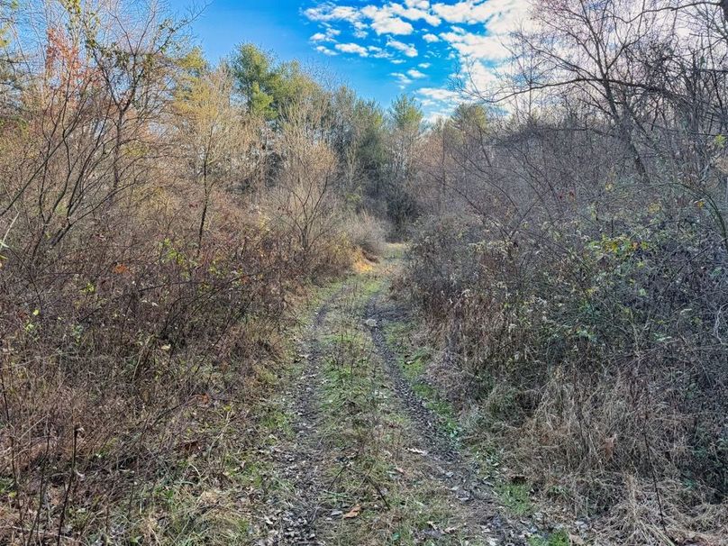 018 great flat leading to the ridgetop-2