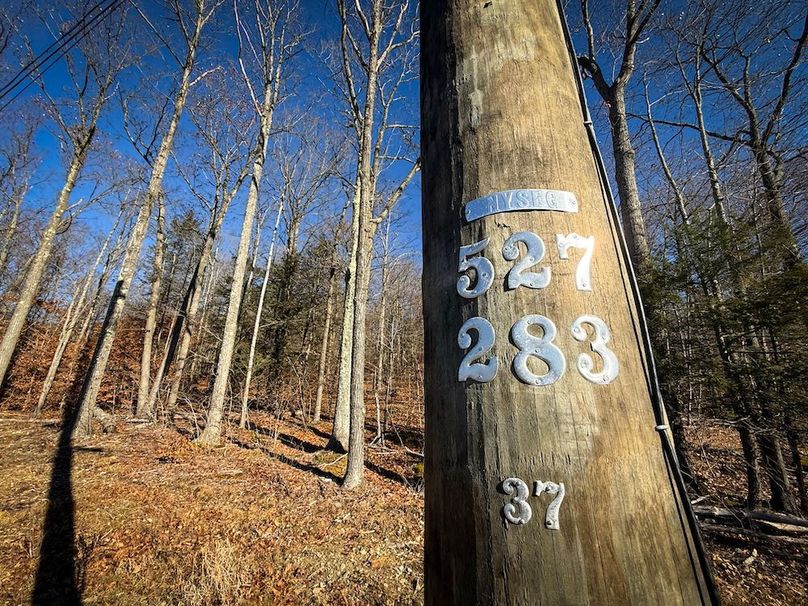 Chemung_31.75_Seymour_South_Photos_5