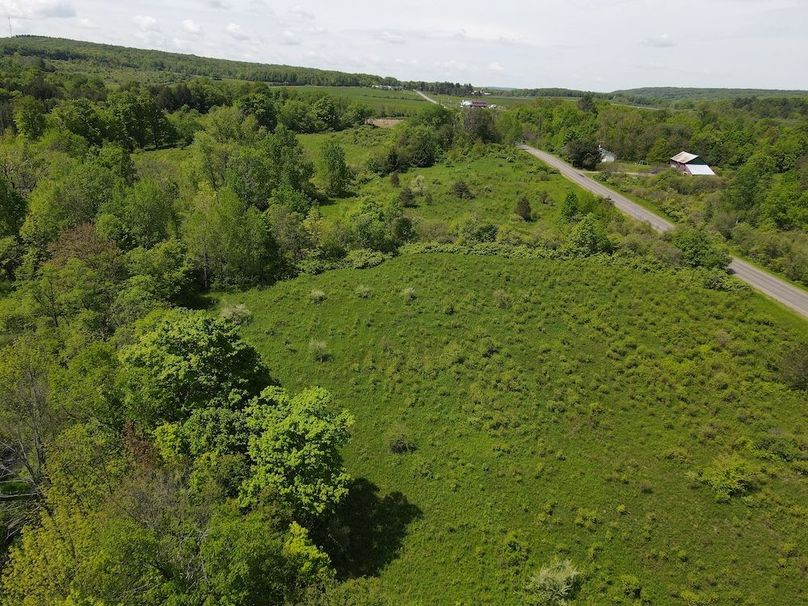 DJI_0437