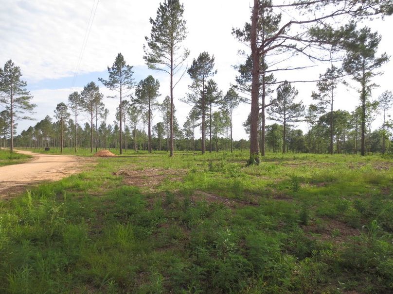 5F9286FB-A385-4E9A-BB9D-CE628AF20B0B_1_105_c