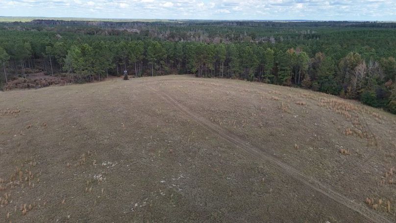 DJI_20251115021500_0876_D - Copy