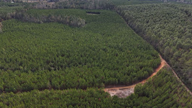 DJI_20231214123918_0015_D