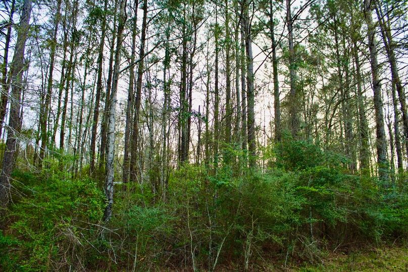 EE19F614-07C6-4B2C-A68D-162A8B117A3E_1_105_c