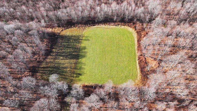 11DJI_20251113120917_0030_D