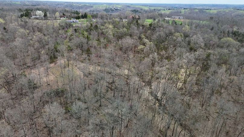 DJI_20250401122136_0043_D