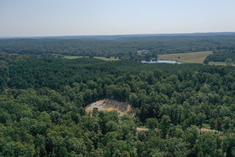DJI_0184