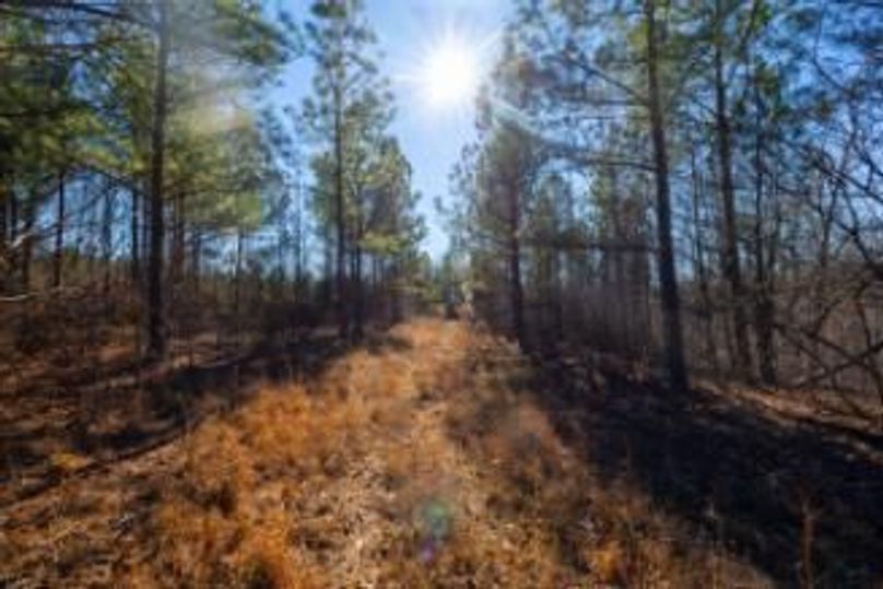 MCKINNON TRACT 29-06