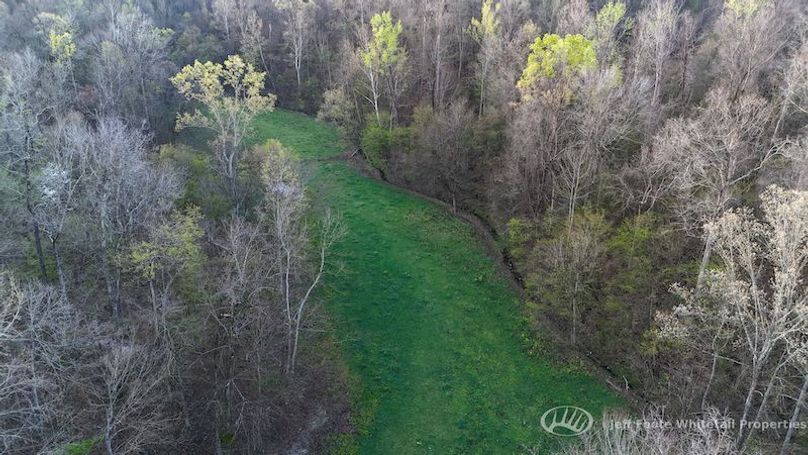 Warren Co - 45.5 - Bockman-83