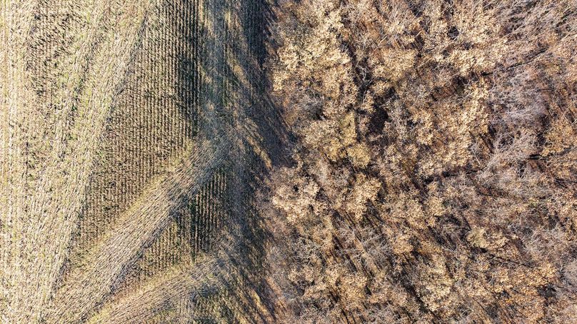 DJI_20241210095628_0015_D