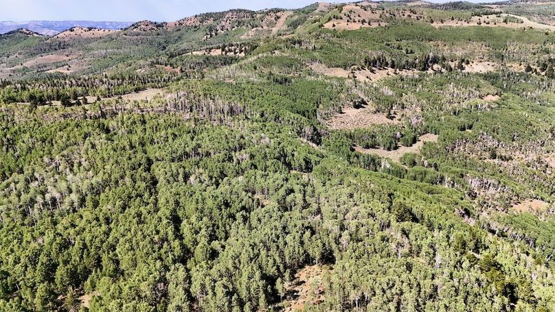 DJI_20250726162749_0043_D