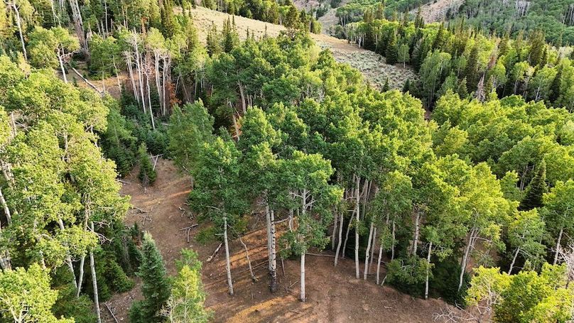 DJI_20250726191409_0323_D