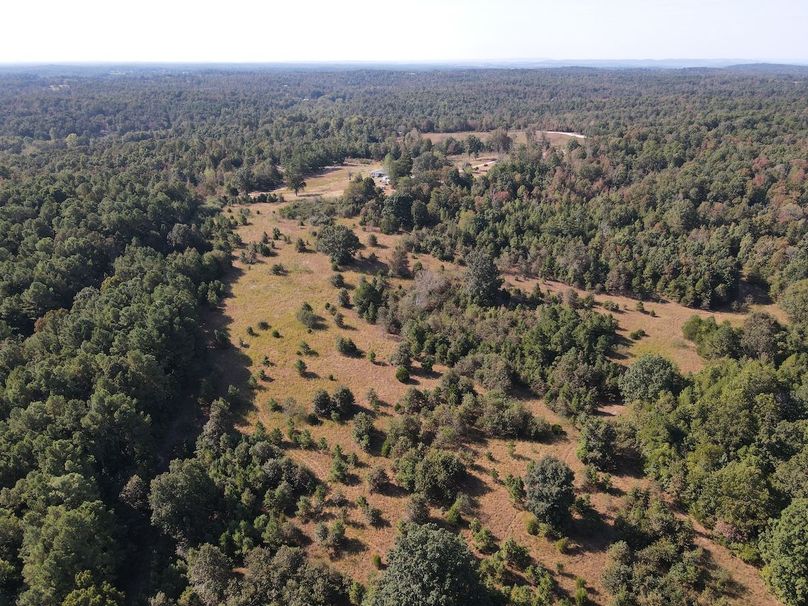 dji_fly_20250902_095504_728_1756825007498_photo