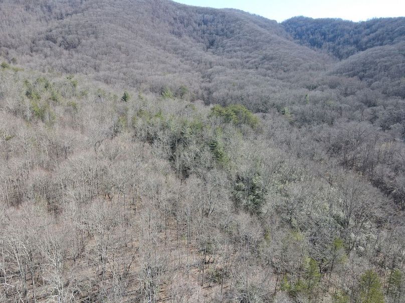 Cherokee 118.85 Harris Top-42