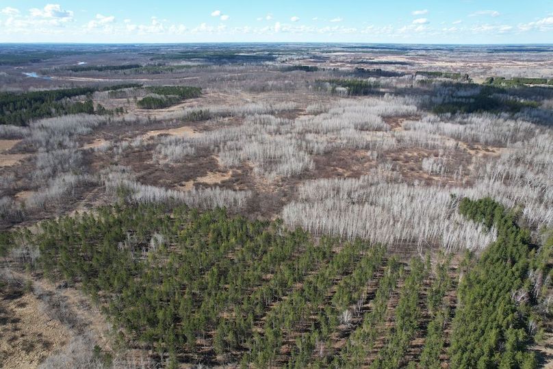 dji_fly_20260415_161442_161_1776288007146_photo