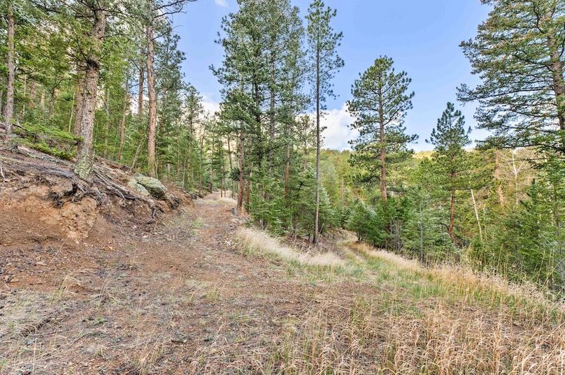 036 - Trail Switchback