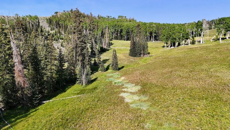 DJI_20250628092056_0230_D