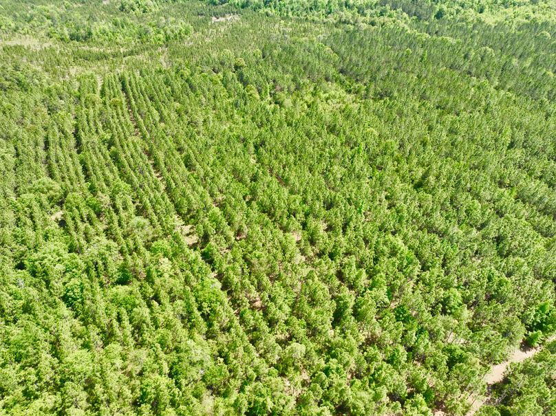 dji_fly_20230426_150848_324_1682536326245_photo