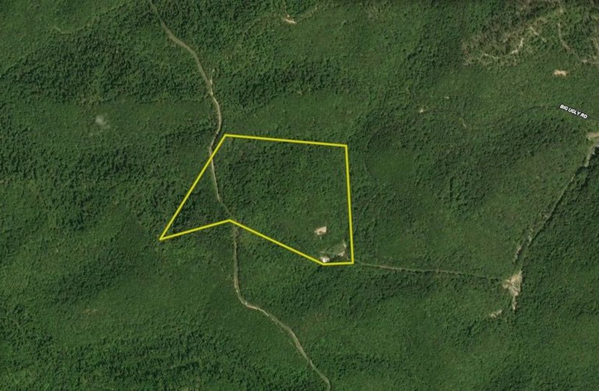 Screenshot 2025-07-10 at 11.39.12 AM