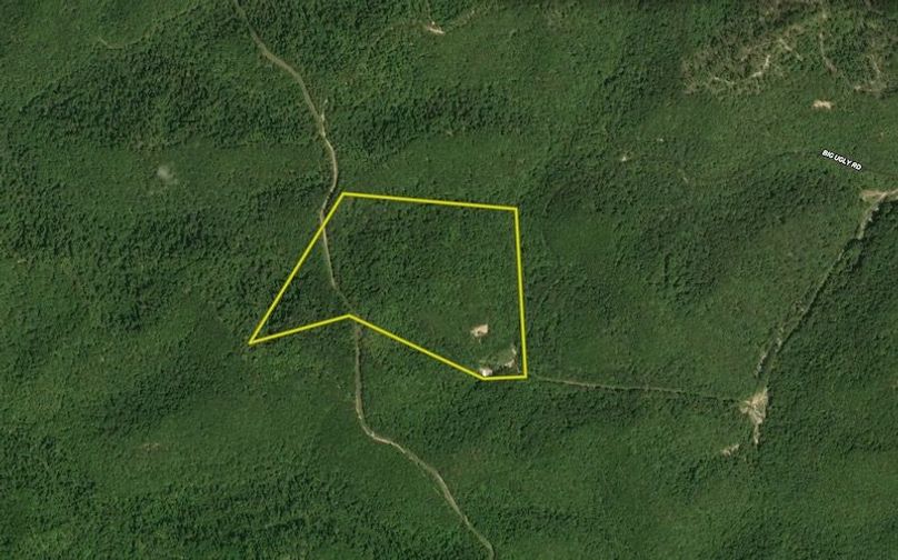 Screenshot 2025-07-10 at 11.39.12 AM