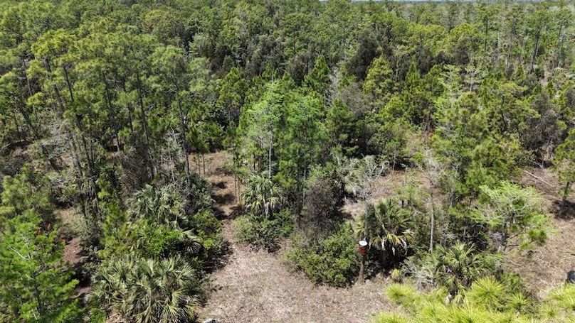 DJI_20260403130015_0469_D