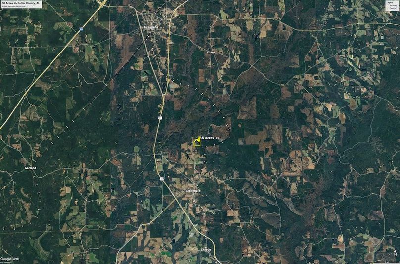 Aerial #6 Approx. 38 Acres Butler County, AL