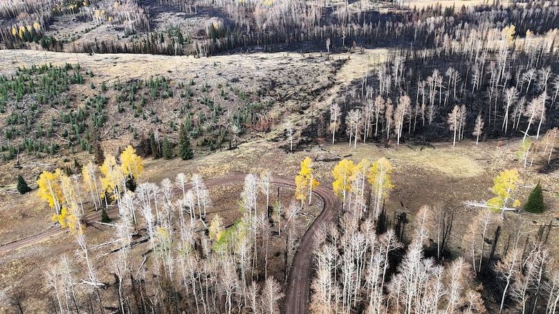 DJI_20250927082645_0027_D