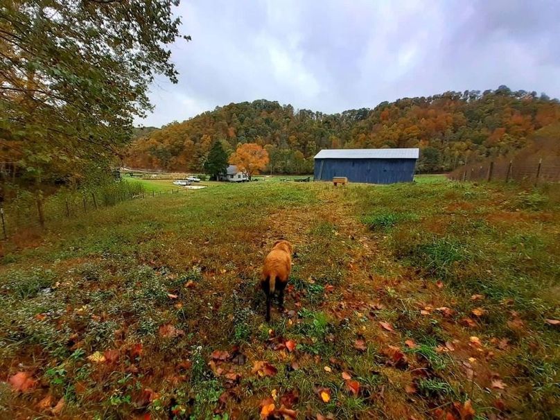 079 the fall colors get me everytime