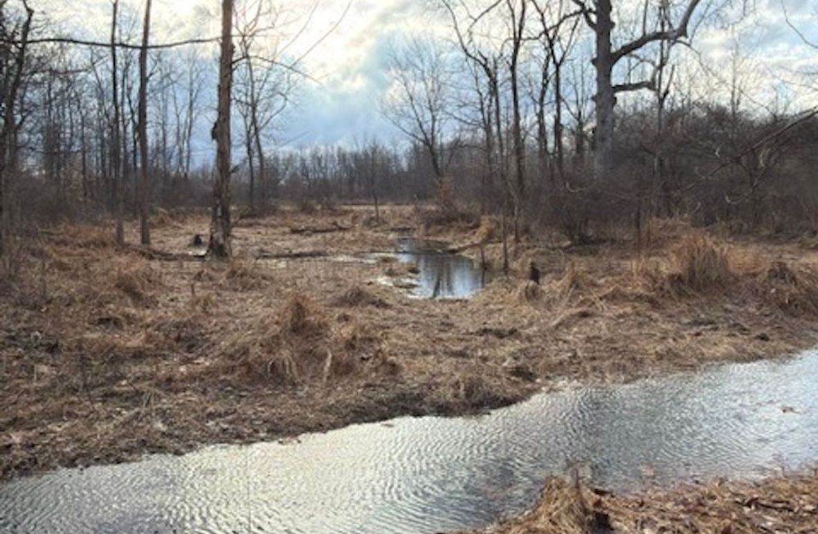 01E6887A-32F5-437C-B968-5FAE3419468D_4_5005_c