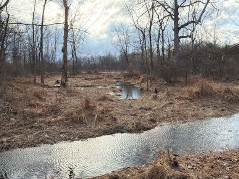 01E6887A-32F5-437C-B968-5FAE3419468D_4_5005_c