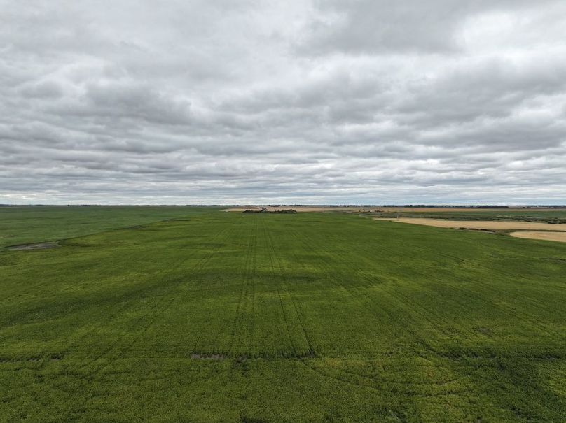 DJI_20250801163114_0732_D