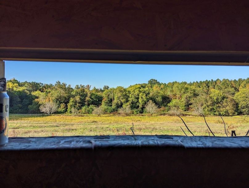 PXL_20221014_204728893