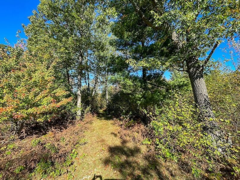 Wood 41.451, Collins -29