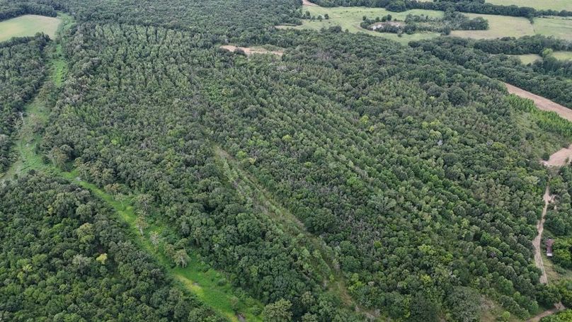 DJI_20250802035447_0560_D