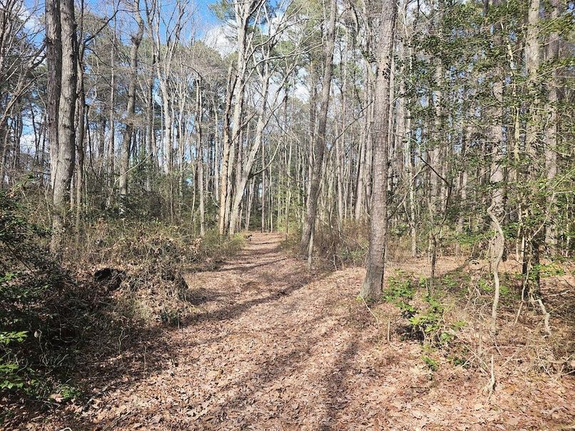 Romancoke_QAnnes_PIC_08