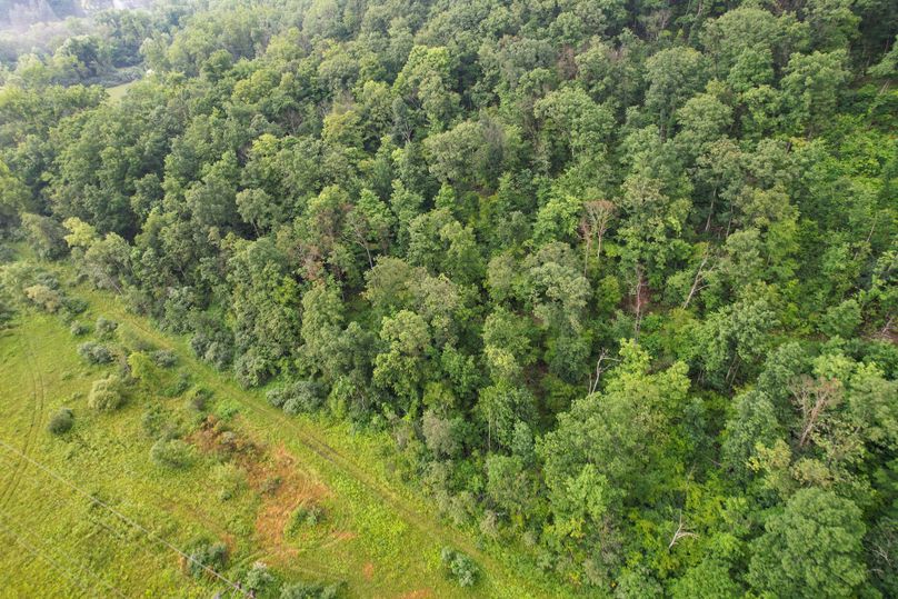 Chemung_29.5_Frantellizzi_Photo_9