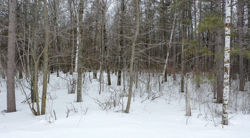 Screenshot 2023-04-04 at 11.18.16 AM