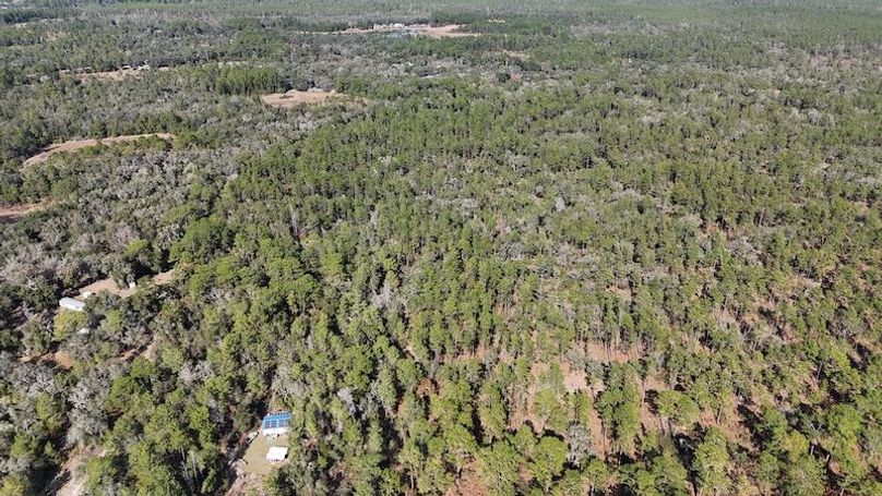 dji_fly_20251204_133012_0030_1764872860716_photo