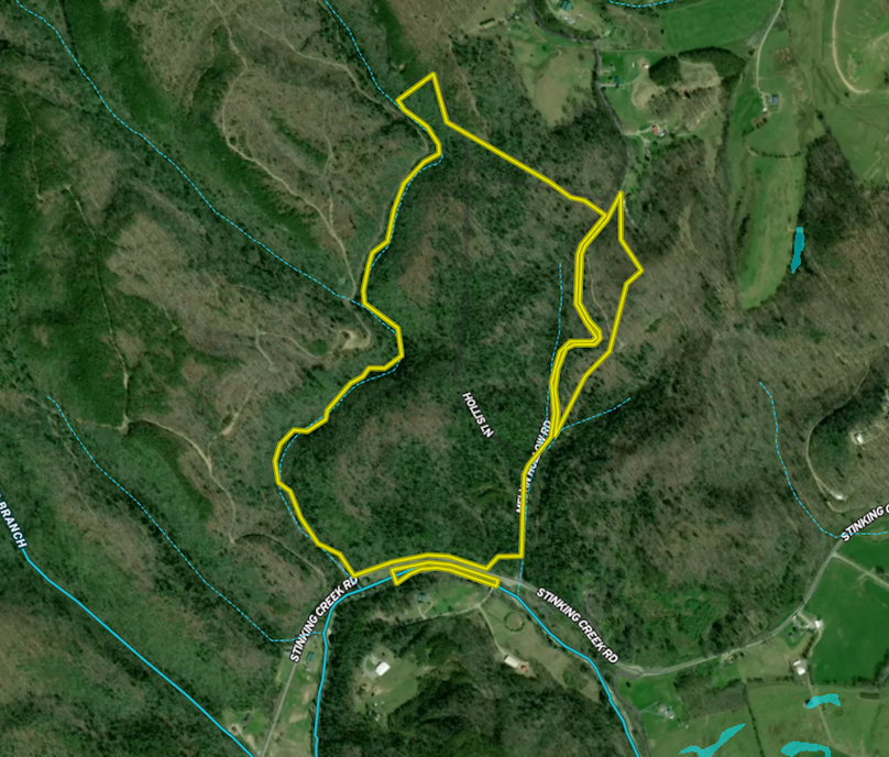 Screenshot 2025-06-16 at 10.08.06 AM