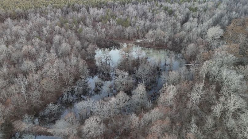 311 new20260217_0463