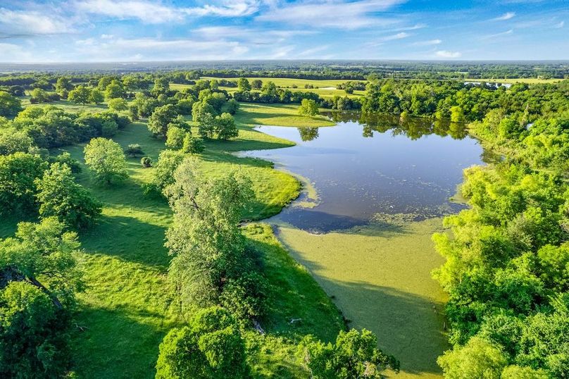 Fannin County- 134.4 acres-23