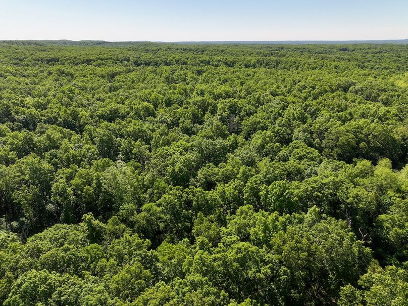 DJI_20250522094714_0358_D