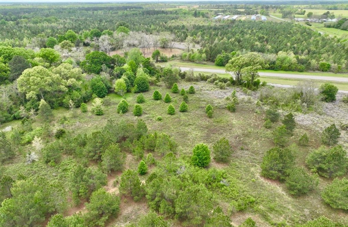 dji_fly_20250403_134438_648_1743702535117_photo