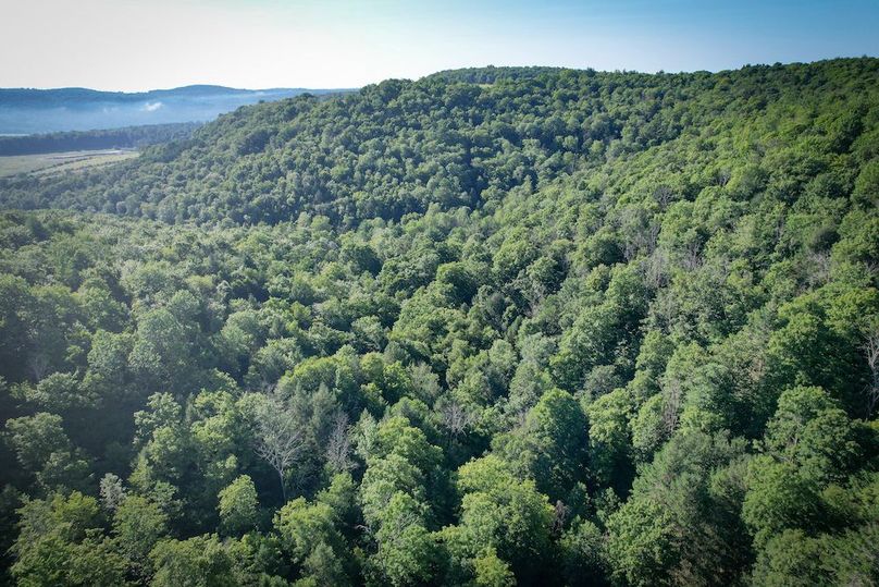 Tioga_82.5_Williams_Photos_29