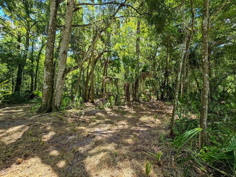 1.01ac, Citrus, Josiah Ronco17