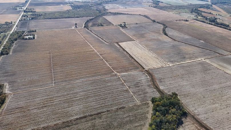 DJI_20251116020253_0892_D